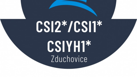 CSI2* 2023